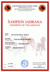 Champion-of-Adriatic